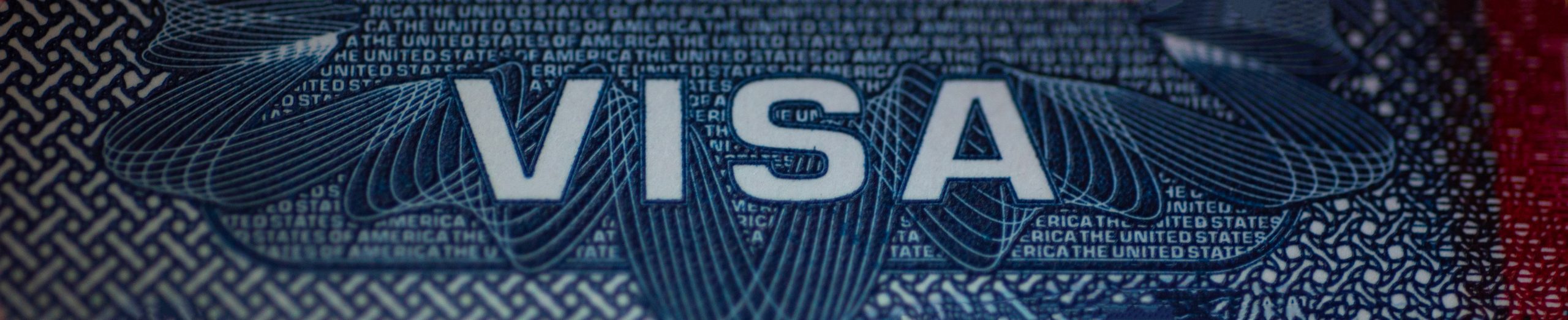 Other work visa